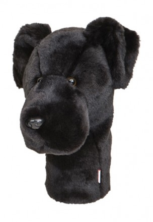 Labrador noir Labrador noir