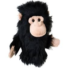 Chimpanzee