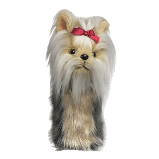 Terrier - Yorkshire