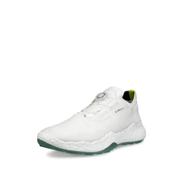 Biom - H5 - BOA