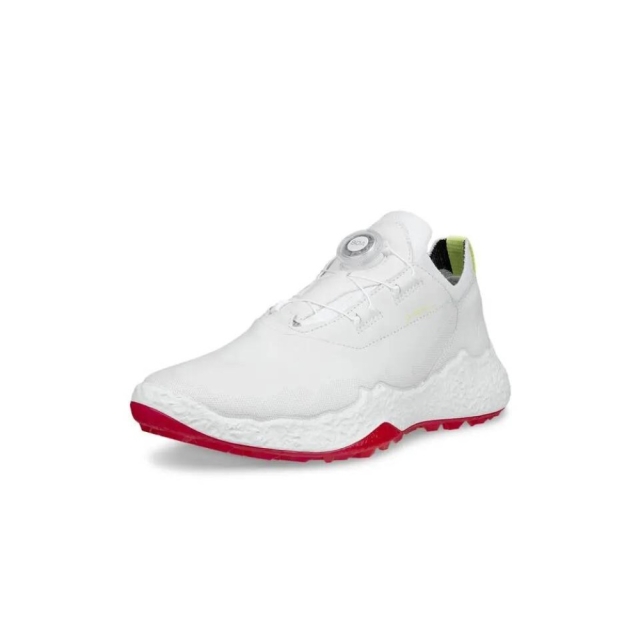 Biom - H5 - BOA