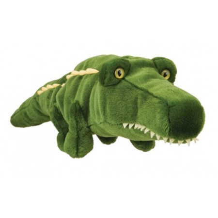 Alligator