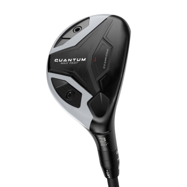 Quantum - Max Fast Quantum - Max Fast