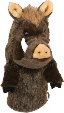 Sanglier Sanglier