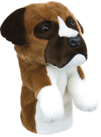 Boxer Boxer
